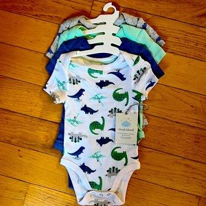 Dinosaur 3-6 month baby boy bundle